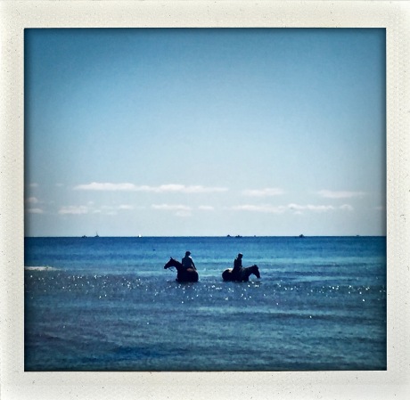 Permission to horse around in the surf.